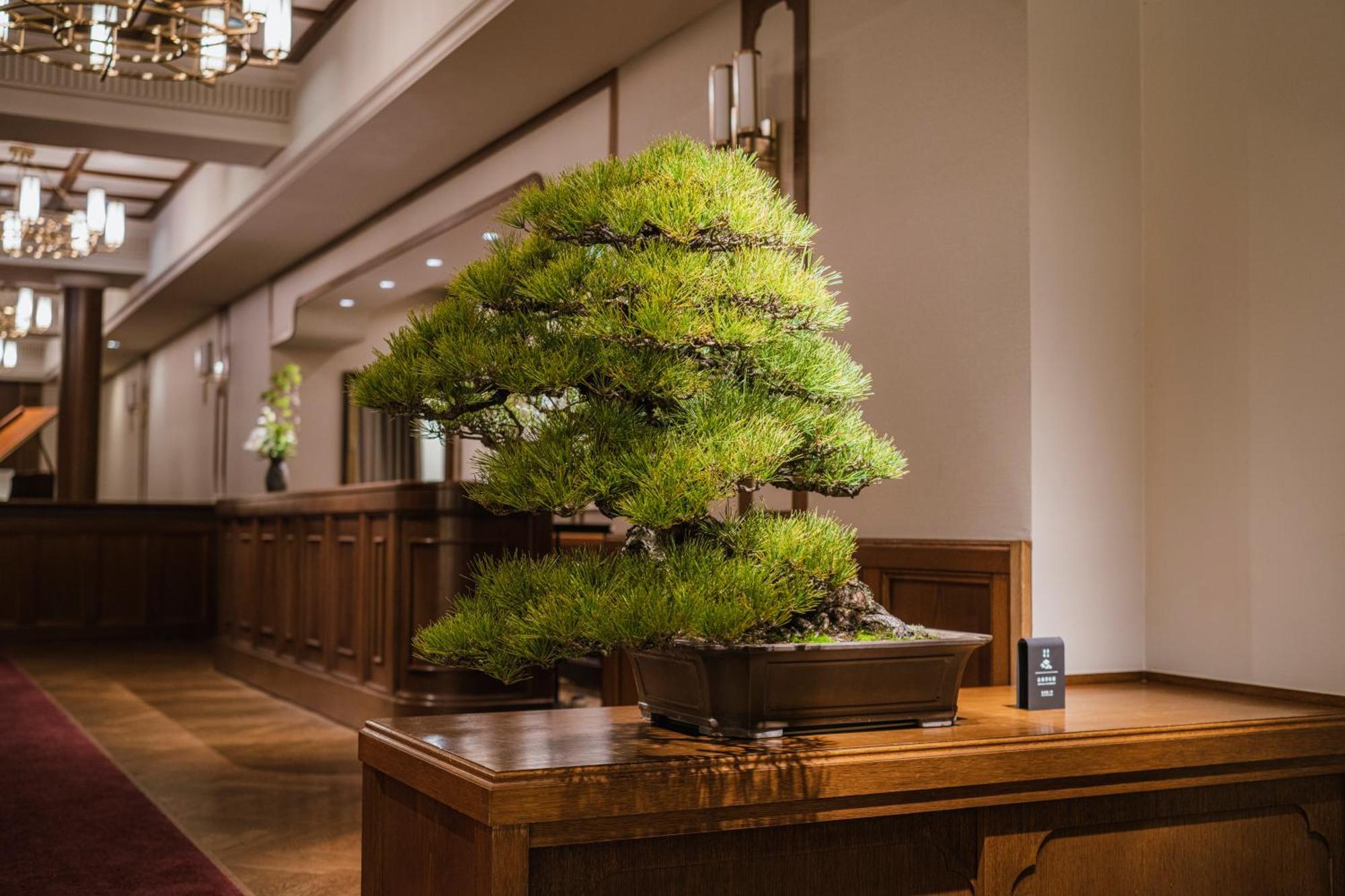 Отель Shinzan Kinosaki Тоёока Экстерьер фото
